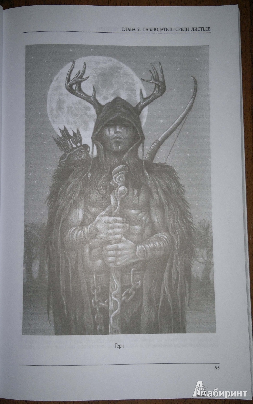 Иллюстрация 14 из 24 для Предания о лесном духе природы. Мифология кельтов - Боб Карран | Лабиринт - книги. Источник: Спящая на ходу