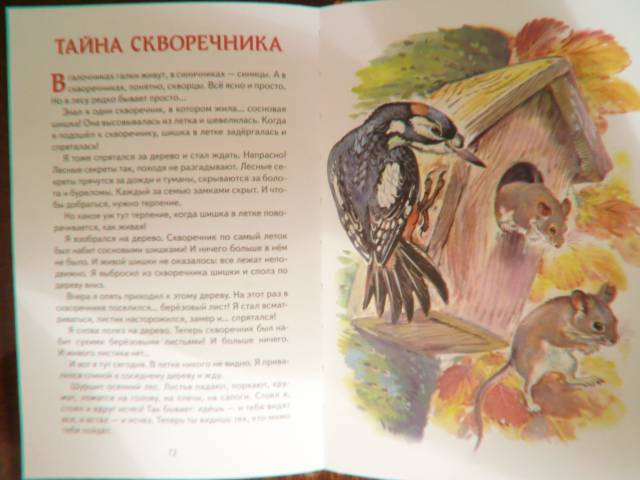 Иллюстрация 26 из 46 для Лесные сказки - Николай Сладков | Лабиринт - книги. Источник: Волжанка