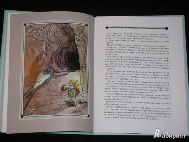 Иллюстрация 52 из 59 для Дюймовочка - Ханс Андерсен | Лабиринт - книги. Источник: Nemertona
