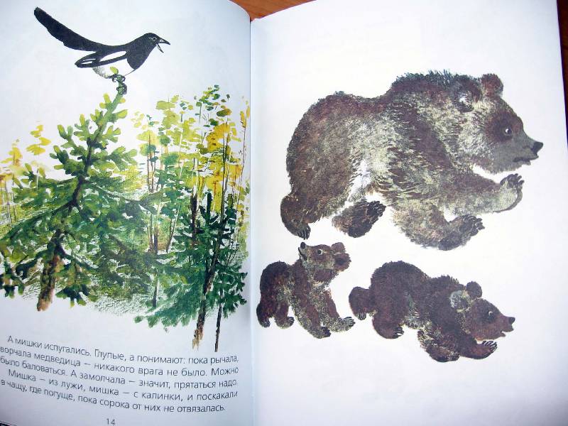 Иллюстрация 48 из 55 для Болтливая сорока - Евгений Чарушин | Лабиринт - книги. Источник: Red cat ;)