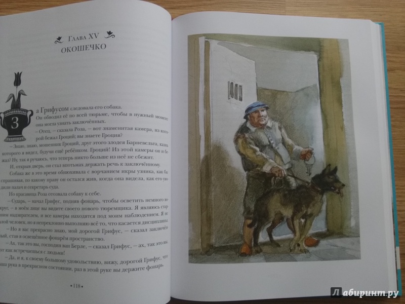 Иллюстрация 31 из 42 для Чёрный тюльпан - Александр Дюма | Лабиринт - книги. Источник: Olga