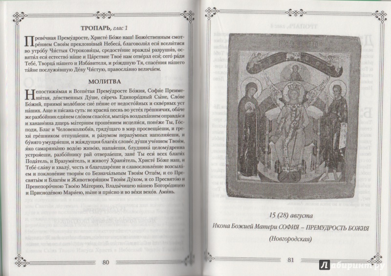 Иллюстрация 9 из 25 для Молитвы ко Пресвятой Богородице пред 45 чудотворными Ея иконами | Лабиринт - книги. Источник: yasmeenka