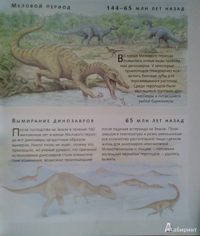 Иллюстрация 8 из 47 для В поисках динозавра - Николас Харрис | Лабиринт - книги. Источник: Лилия белая