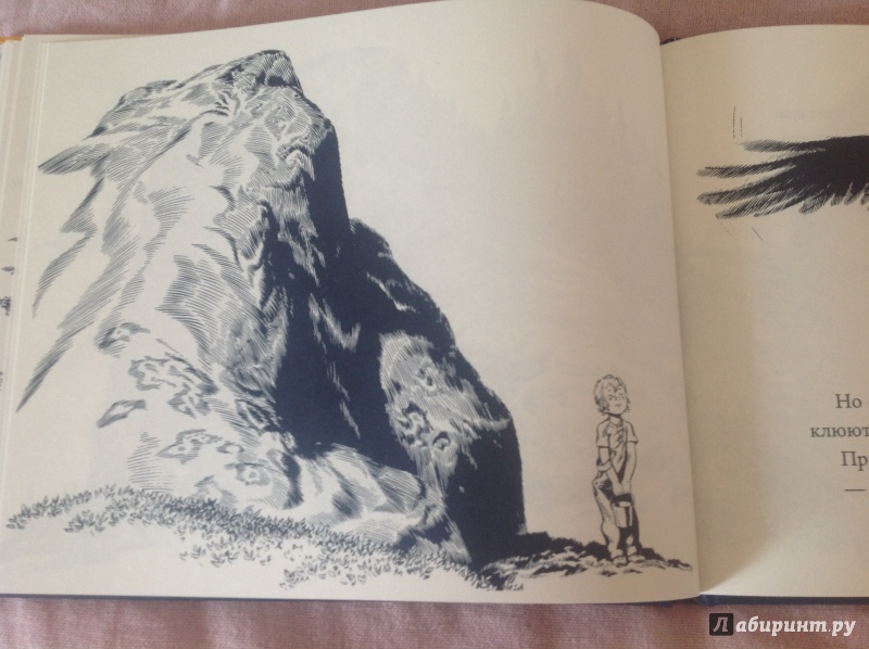 Иллюстрация 34 из 61 для Черника для Саши - Роберт Макклоски | Лабиринт - книги. Источник: К  Анна