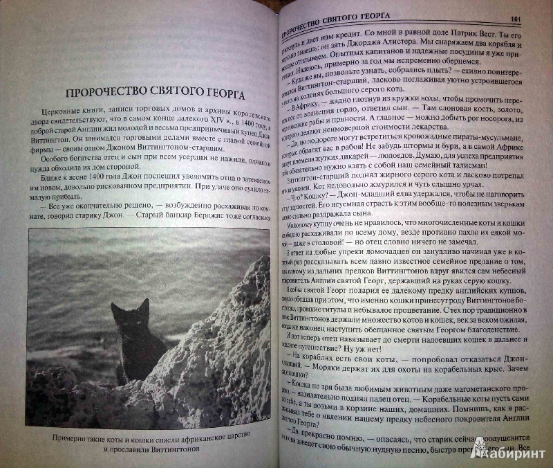 Иллюстрация 18 из 21 для 100 великих курьезов истории - Веденеев, Николаев | Лабиринт - книги. Источник: Natali*