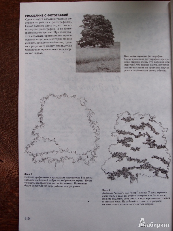 Иллюстрация 11 из 61 для Деревья - Стенли Молцмен | Лабиринт - книги. Источник: Kary