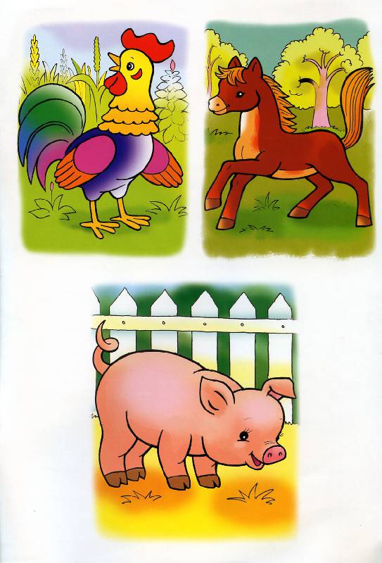 Иллюстрация 10 из 16 для Рисуем и раскрашиваем домашних животных. 6+ | Лабиринт - книги. Источник: Росинка