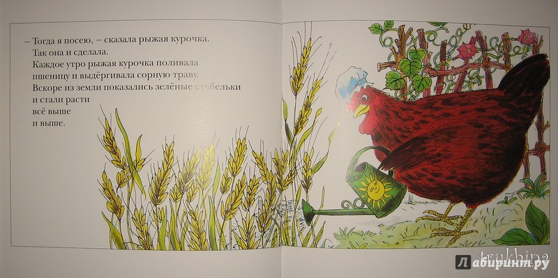 Иллюстрация 46 из 55 для Рыжая курочка | Лабиринт - книги. Источник: Трухина Ирина