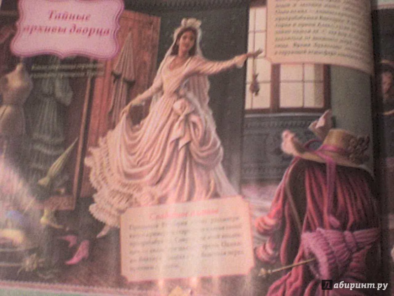 Иллюстрация 12 из 15 для Настольная книга принцессы | Лабиринт - книги. Источник: Роза с шипами