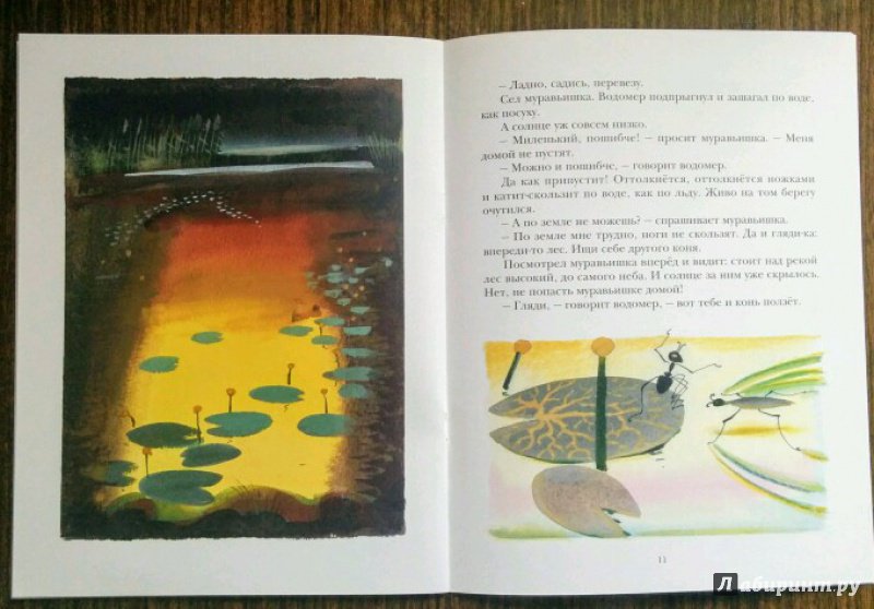 Иллюстрация 55 из 59 для Как муравьишка домой спешил - Виталий Бианки | Лабиринт - книги. Источник: Natalie Leigh