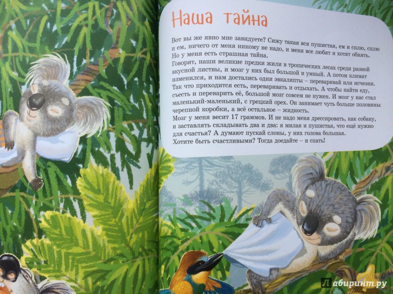 Иллюстрация 31 из 35 для Я коала - Ирина Лукьянова | Лабиринт - книги. Источник: ИрМур