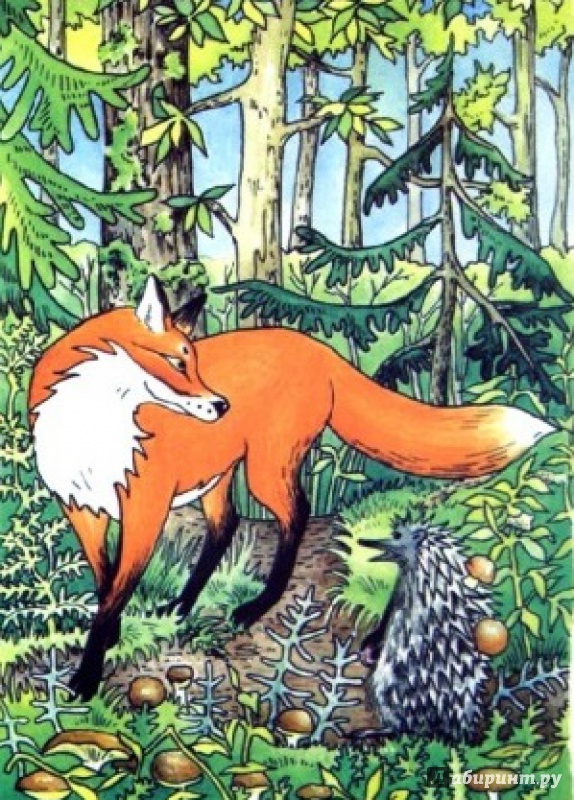 Иллюстрация 6 из 6 для Как лиса к зиме готовилась - Татьяна Ревякина | Лабиринт - книги. Источник: Лабиринт