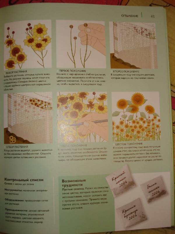 Иллюстрация 8 из 14 для Размножение растений - Миранда Смит | Лабиринт - книги. Источник: Паньков Александр Анатольевич