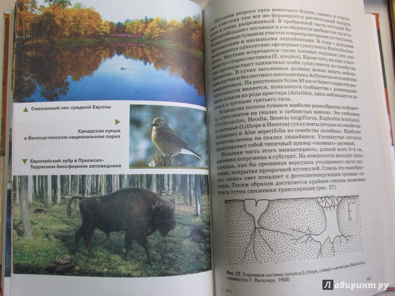 Иллюстрация 37 из 38 для Биогеография - Дроздов, Второв | Лабиринт - книги. Источник: Алекс