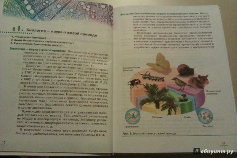 Биология 9 пасечник учебник зеленый