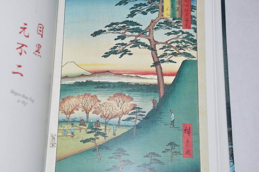 Иллюстрация 13 из 24 для Hiroshige. One Hundred Famous Views of Edo | Лабиринт - книги. Источник: jonstewart