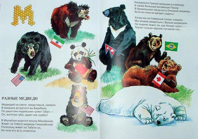 Иллюстрация 1 из 8 для Зоология для детей: Сборник стихов - Андрей Усачев | Лабиринт - книги. Источник: МЕГ