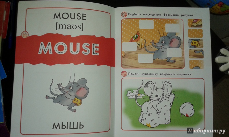 Иллюстрация 4 из 10 для Животные. Пособие для детей 3-6 лет | Лабиринт - книги. Источник: Балуева Мария