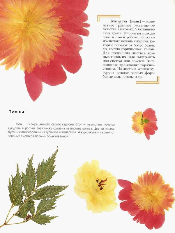 Иллюстрация 2 из 4 для Картины из сухих цветов: Техника. Приемы. Изделия - Виктор Стецюк | Лабиринт - книги. Источник: Panterra