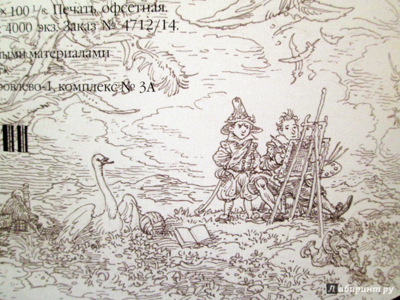 Иллюстрация 67 из 88 для Дикие лебеди - Ханс Андерсен | Лабиринт - книги. Источник: Зеленая шляпа