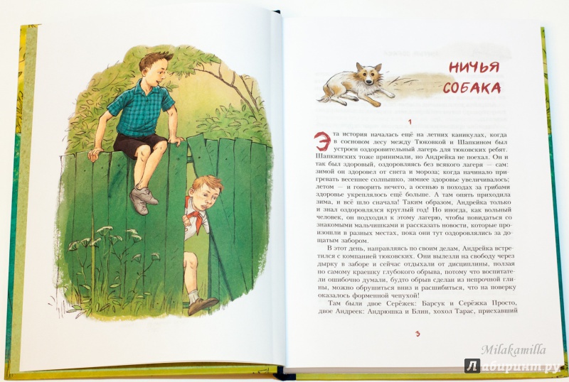 Иллюстрация 26 из 48 для Андрейка и лодырь Ромашка - Юрий Третьяков | Лабиринт - книги. Источник: Букландия