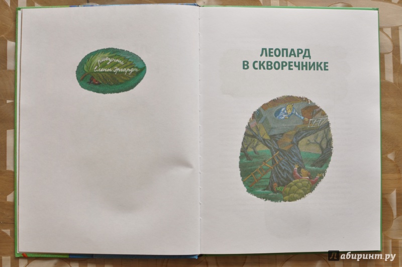 Иллюстрация 3 из 42 для Леопард и черепаха - Святослав Сахарнов | Лабиринт - книги. Источник: Еленушка