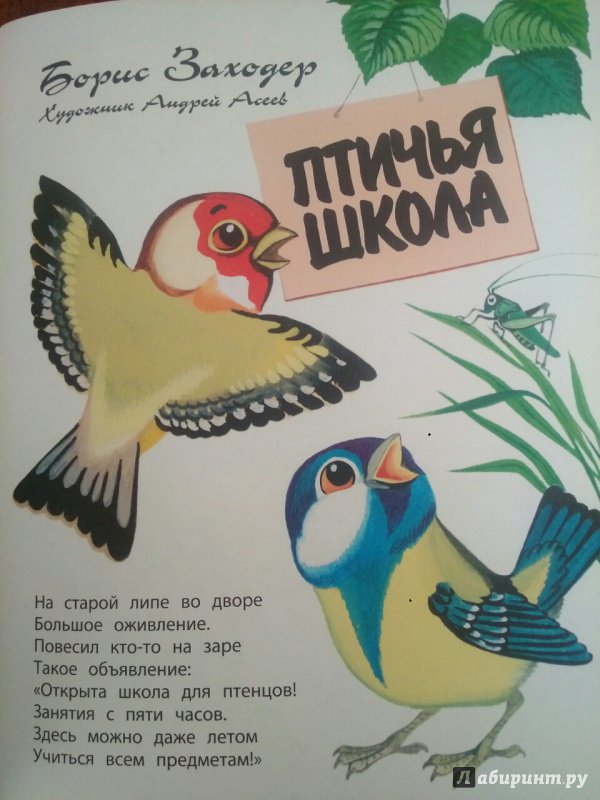 Иллюстрация 11 из 20 для Птичья школа - Борис Заходер | Лабиринт - книги. Источник: Подоляк  Анастасия