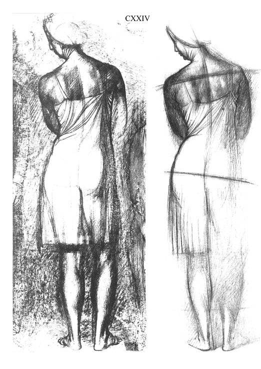 Иллюстрация 17 из 25 для Анатомия для художников - Ене Барчаи | Лабиринт - книги. Источник: Спанч Боб