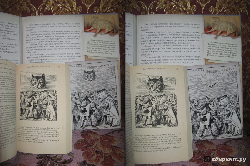 Иллюстрация 142 из 240 для Приключения Алисы в Стране Чудес. Тканевая обложка - Льюис Кэрролл | Лабиринт - книги. Источник: Эля