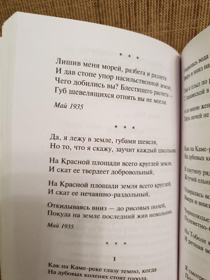 Иллюстрация 8 из 18 для За то, что я руки твои не сумел удержать... - Осип Мандельштам | Лабиринт - книги. Источник: Алексей Гапеев