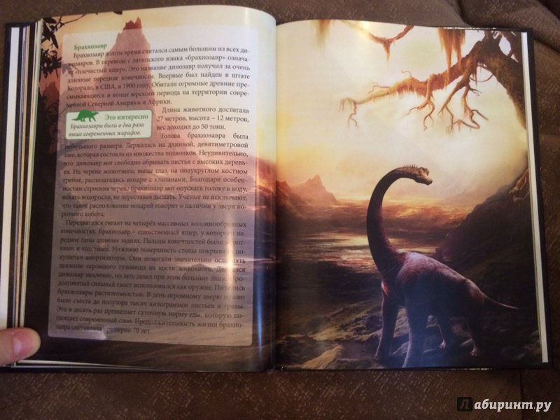 Иллюстрация 23 из 36 для Динозавры - Ирина Астапенко | Лабиринт - книги. Источник: Лабиринт