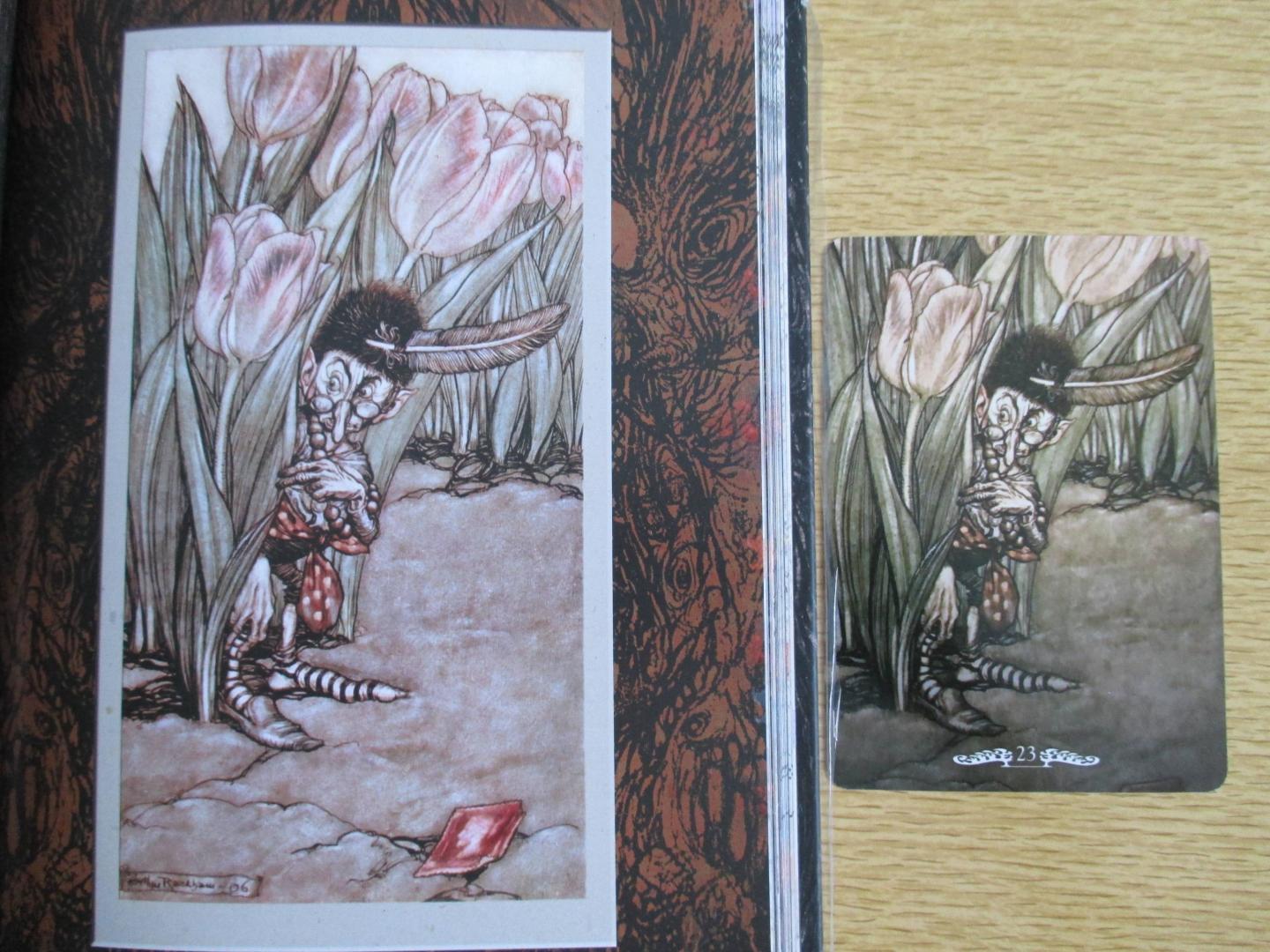 Иллюстрация 15 из 23 для Оракул Фей - Джейми Элфорд | Лабиринт - книги. Источник: Lady Red