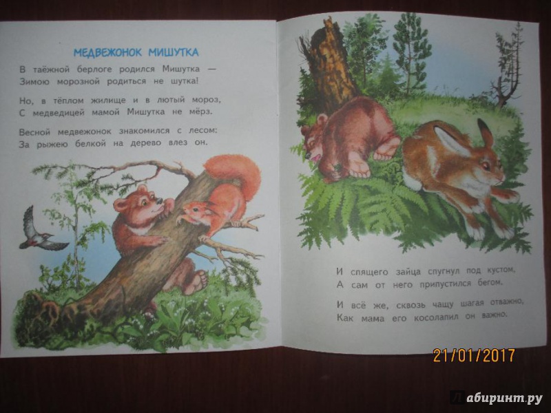 Иллюстрация 31 из 32 для Слонёнок Санни - Владимир Борисов | Лабиринт - книги. Источник: Марина Епифанцева