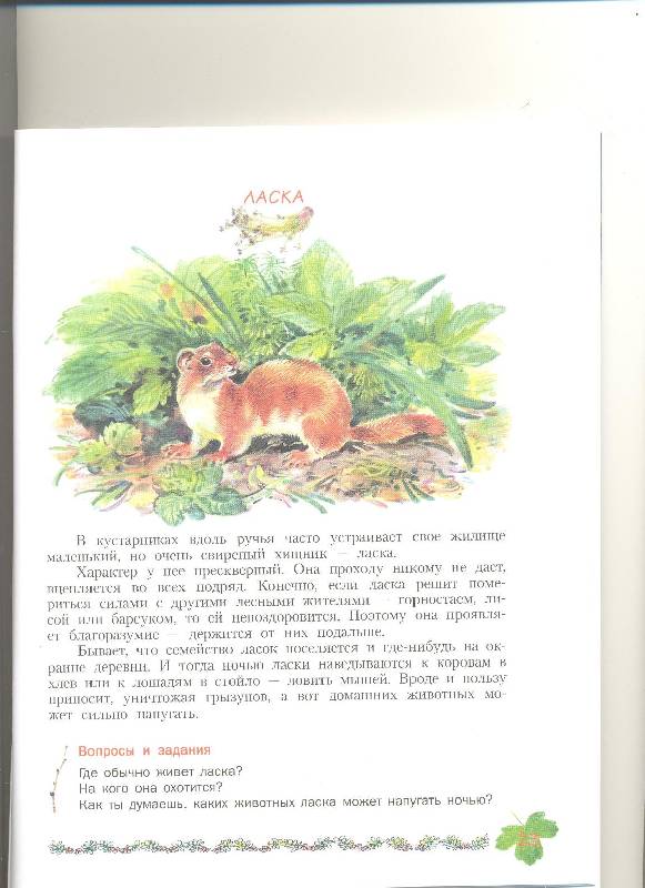 Иллюстрация 33 из 39 для Кто в кустарнике живет? Книга для чтения детям - Александр Тамбиев | Лабиринт - книги. Источник: Nchk