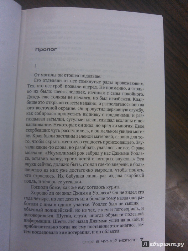 Иллюстрация 1 из 11 для Стоя в чужой могиле - Иэн Рэнкин | Лабиринт - книги. Источник: Фридлейн  Ольга