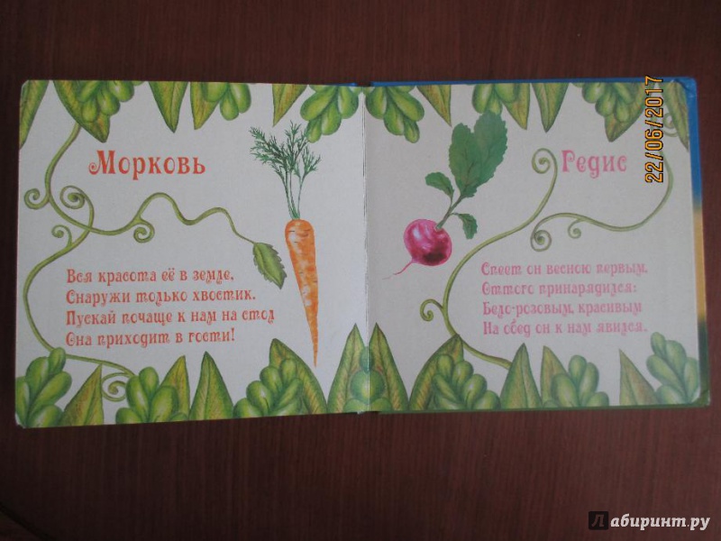Иллюстрация 5 из 6 для Овощи - Наталья Курлат | Лабиринт - книги. Источник: Марина Епифанцева