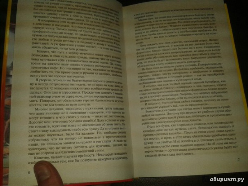 Иллюстрация 11 из 16 для Как покорить мужчину едой и аппетитно себя подать - Юлия Шилова | Лабиринт - книги. Источник: Меринов  Кирилл