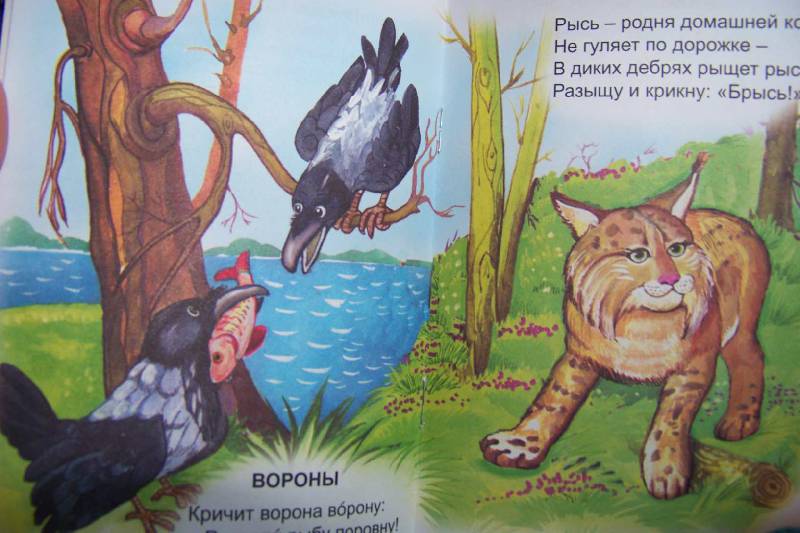 Иллюстрация 17 из 22 для Живые скороговорки - Владимир Борисов | Лабиринт - книги. Источник: beliy veresk