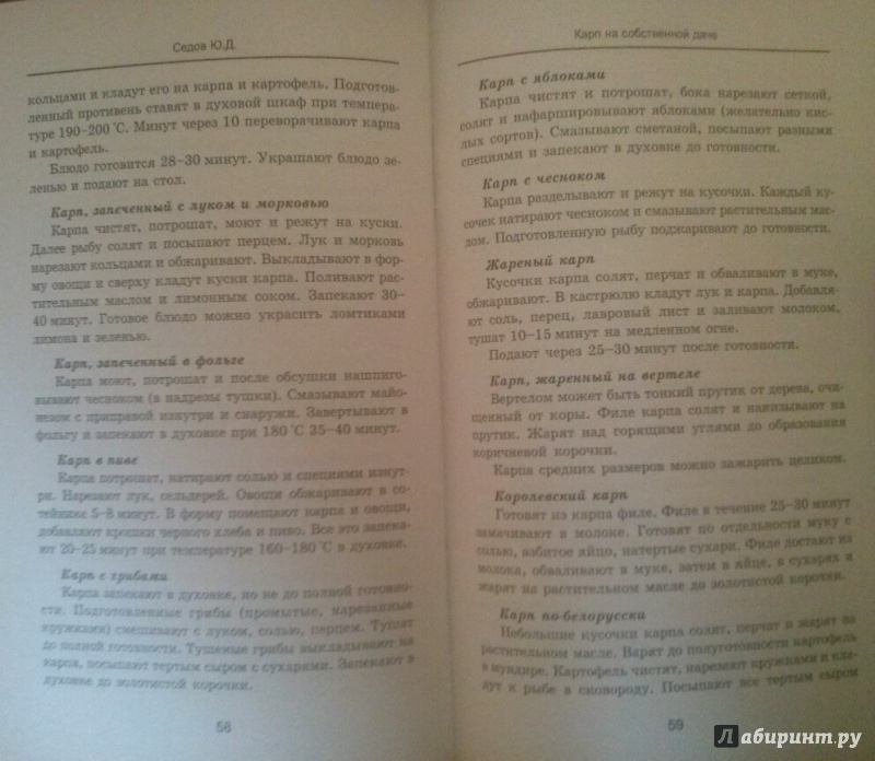 Иллюстрация 13 из 13 для Карп на собственной даче: разведение, содержание, уход - Юрий Седов | Лабиринт - книги. Источник: SiB