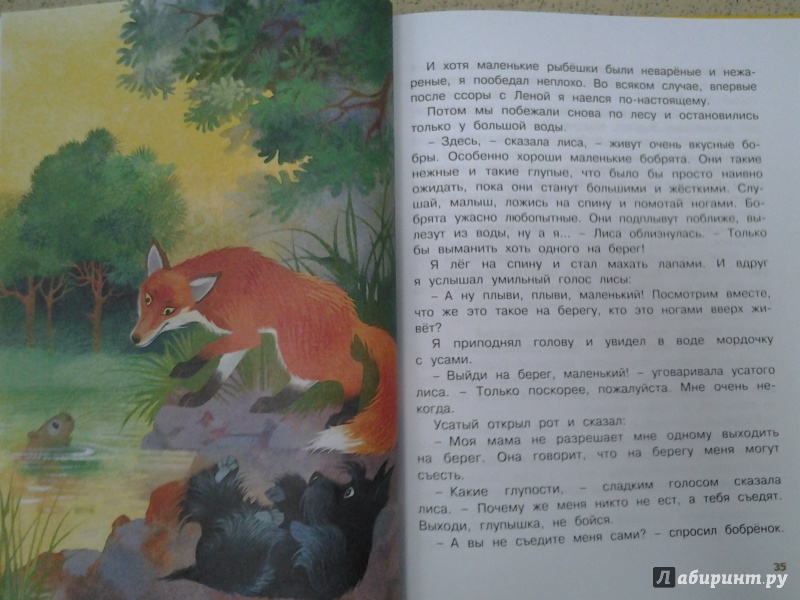 Иллюстрация 56 из 60 для Храбрый Тилли и другие истории - Ларри, Ольгин | Лабиринт - книги. Источник: Olga