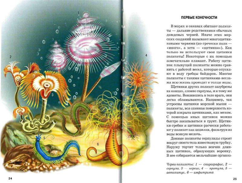 Иллюстрация 17 из 30 для В морях и океанах - Сергей Афонькин | Лабиринт - книги. Источник: Юта