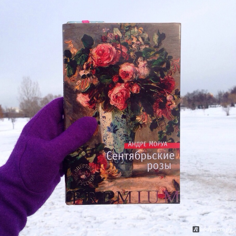 Иллюстрация 18 из 24 для Сентябрьские розы - Андре Моруа | Лабиринт - книги. Источник: Д  Деля