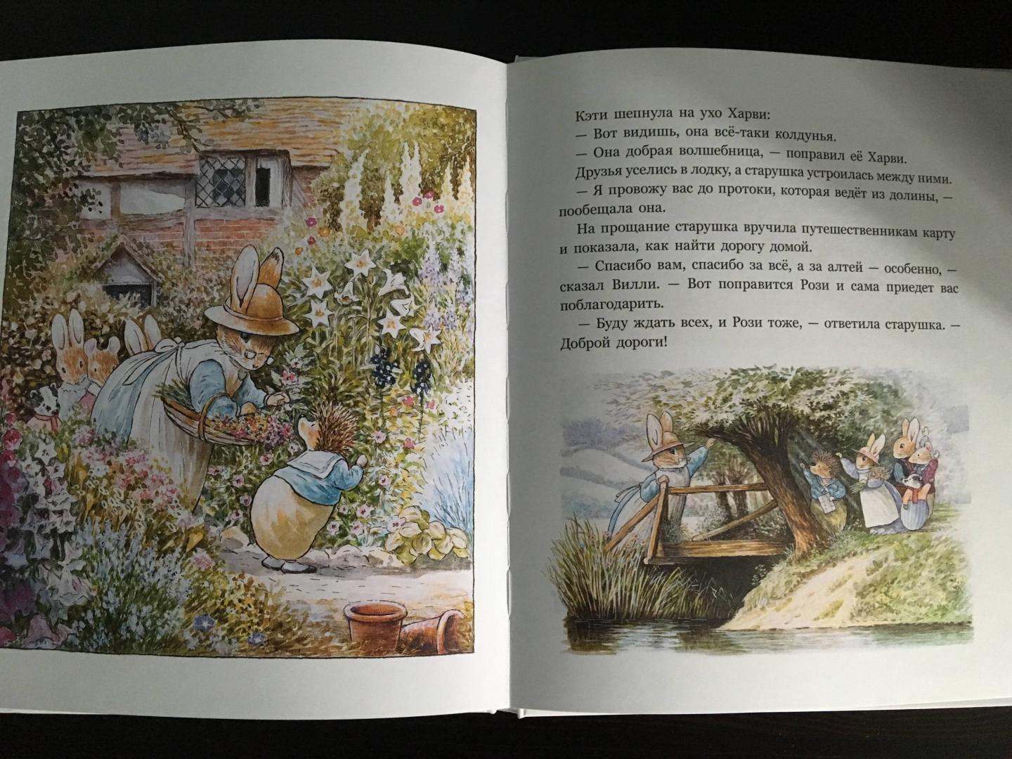 Иллюстрация 53 из 76 для Большое летнее приключение - Патерсон, Патерсон | Лабиринт - книги. Источник: Лабиринт