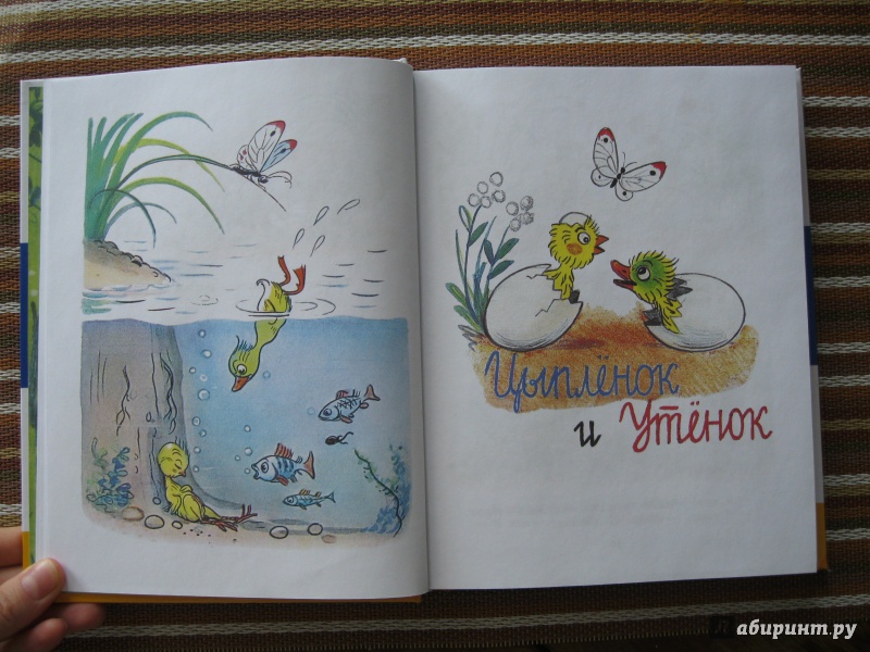Иллюстрация 22 из 165 для Сказки и картинки - Владимир Сутеев | Лабиринт - книги. Источник: Лабиринт