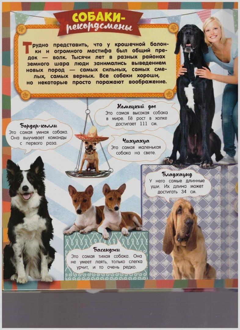 Иллюстрация 12 из 18 для Все-все-все про собак - Елена Беляева | Лабиринт - книги. Источник: LanaEr