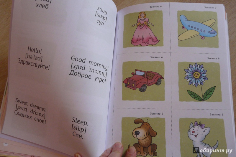 Иллюстрация 9 из 19 для 12 шагов к английскому языку. Курс для детей 4 лет. Часть 4. ФГОС ДО - Мильруд, Юшина | Лабиринт - книги. Источник: Sunshine