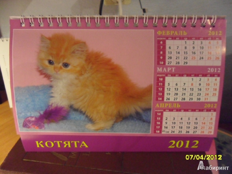 Иллюстрация 2 из 3 для Календарь 2012 "Котята" (19209) | Лабиринт - сувениры. Источник: Ankosik