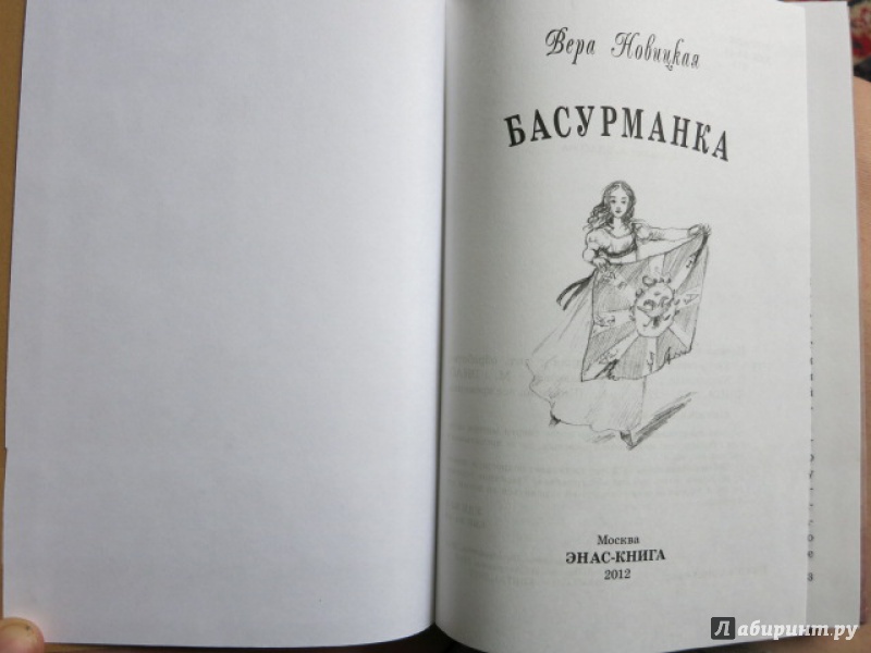 Иллюстрация 10 из 27 для Басурманка - Вера Новицкая | Лабиринт - книги. Источник: Юта