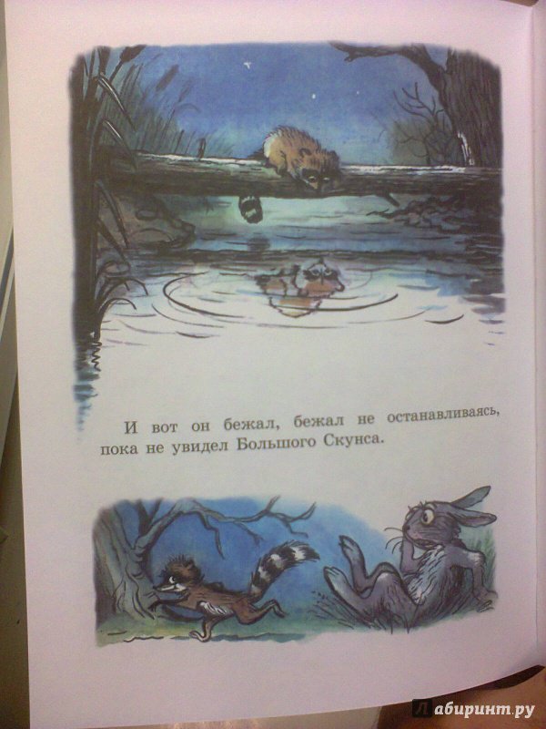 Иллюстрация 16 из 58 для Любимые сказки в рисунках В. Сутеева - Прейсн, Муур, Кипинс | Лабиринт - книги. Источник: R.O.S.S.