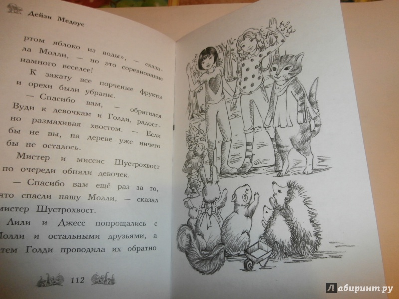 Иллюстрация 35 из 48 для Мышонок Молли, или Ярмарка Чудес - Дейзи Медоус | Лабиринт - книги. Источник: Tiger.